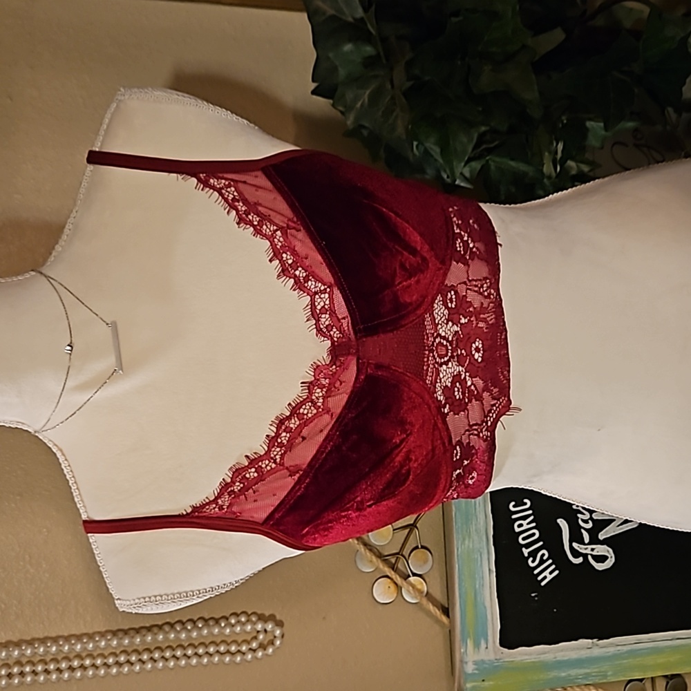 New with Tags Cam & Mac Wine & Lace Bralette Size Small